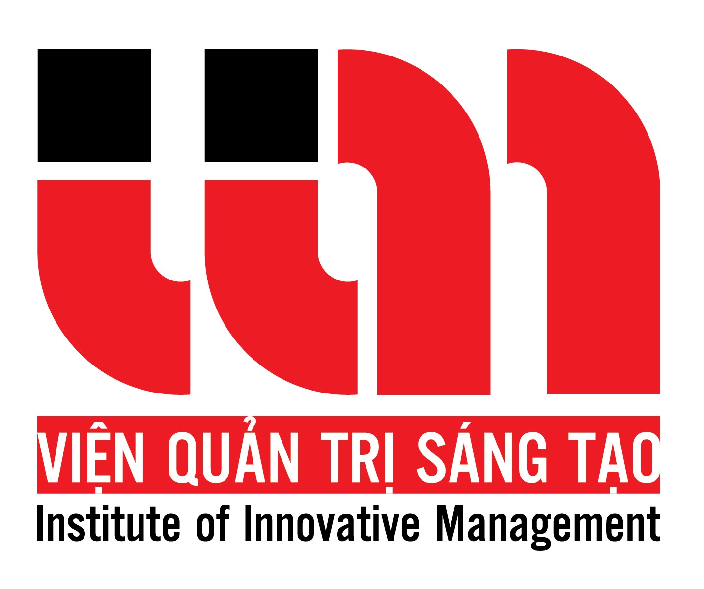 Logo Iim